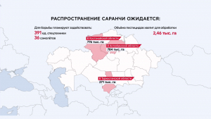 Нашествие саранчи: 2,5 млн га полей под угрозой в Казахстане