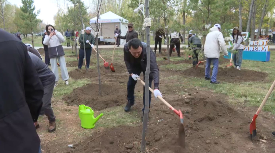 «Таза Қазақстан»: члены Национального курултая вышли на субботники