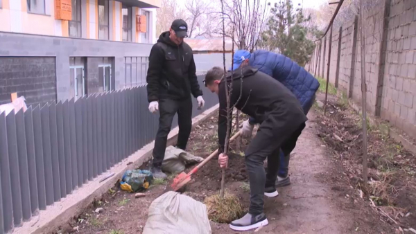 Алматылықтар шаһарды көгалдандырады