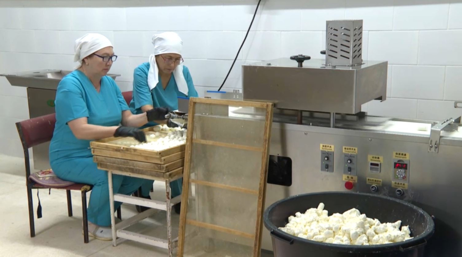 Көкшетауда 35 жыл бойы құрт пісіретін шебер тұрады