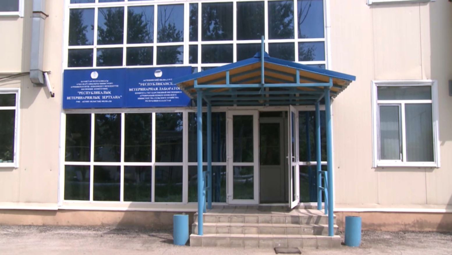 Ветеринаров обучают в 11 вузах страны