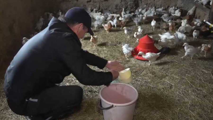 Ауыл аманаты: БҚО-да 5,5 млрд теңге жеңілдетілген несие беру жоспарланды