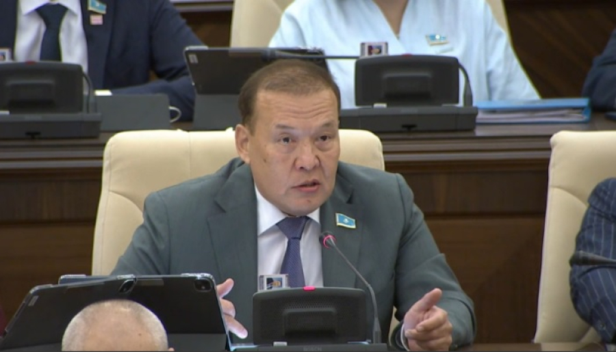 Ужесточить наказание за двойное гражданство предложили в Казахстане