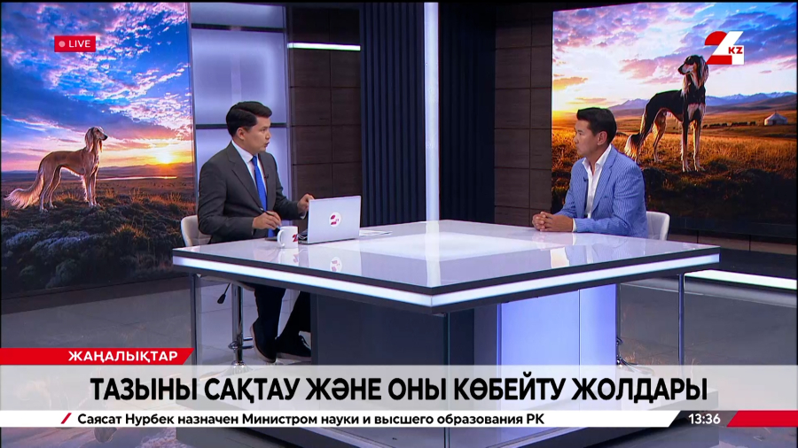Тазыны сақтау және оны көбейту жолдары. Бақдәулет Қабдрахман