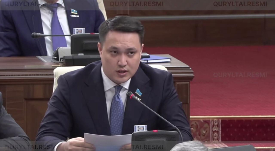 «Граффити өшіру жеткіліксіз»: Депутат есірткі мен дропперліктен қорғауды күшейтуді ұсынды