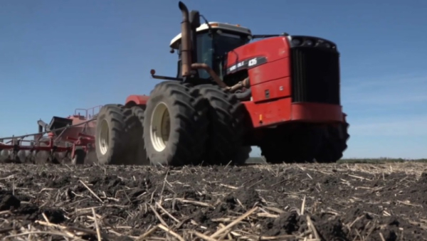 4,4 млн га засеют сельхозкультурами аграрии СКО