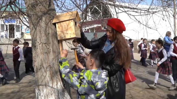 Таза Қазақстан: 1000 скворечников установили школьники Актобе