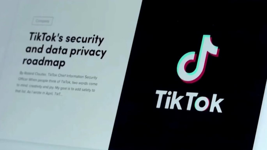 TikTok пен Meta-ға қатысты тергеу басталды