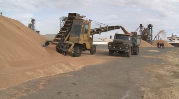 286 инвестпроектов в сфере АПК реализовали в Казахстане