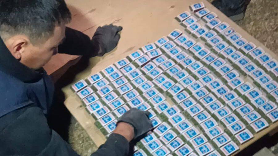 Крупный тайник с наркотиками нашли в ходе обыска в ЗКО