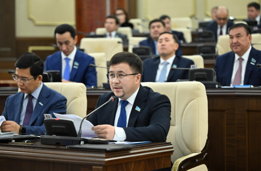 Мажилис одобрил законопроект об ИИ