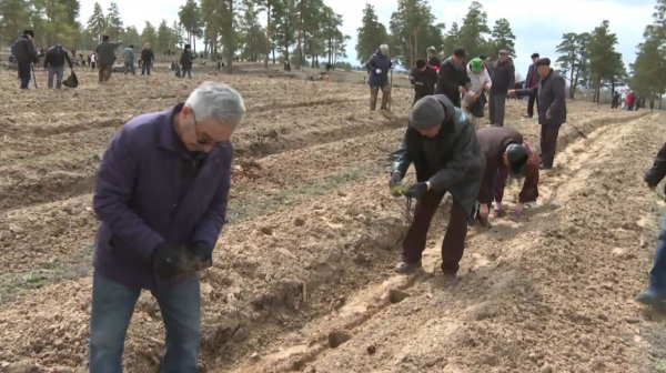 15 тыс. человек участвуют в акции «Таза Қазақстан» в области Абай