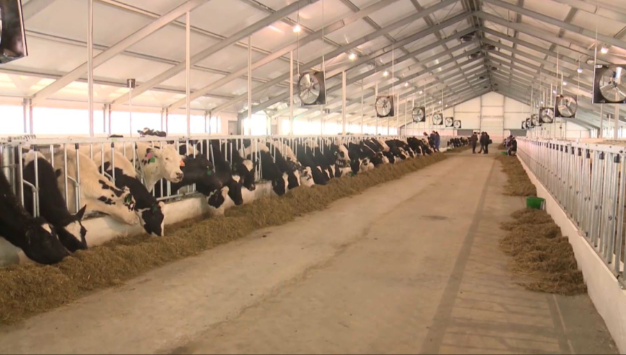 Етке субсидия ұлғайды