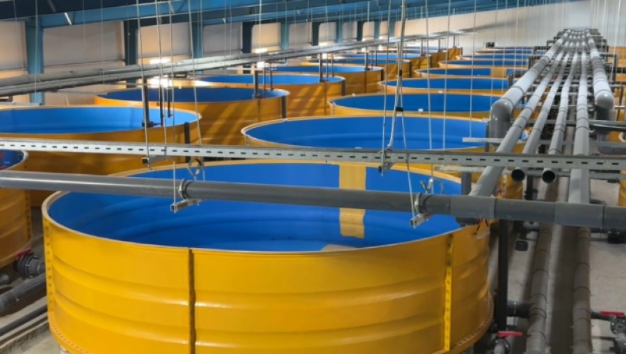 Товарно-рыбную ферму за ₸2 млрд строят в Атырауской области