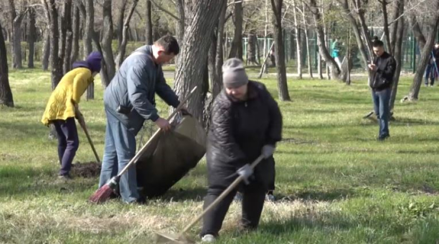 Молодёжь Петропавловска провела уборку в городском парке