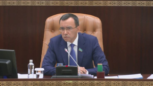 М.Ашимбаев: Инцидент в области Абай показал, что система не сработала вовремя
