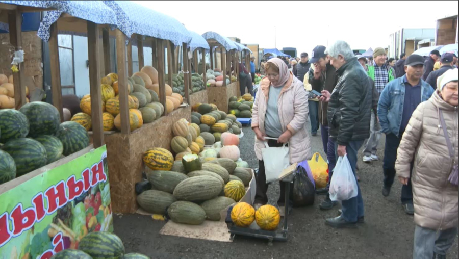 «Дала дәмі» жәрмеңкесі: ел бойынша 13 мың тоннадан астам өнім сатылды