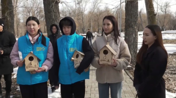 Таза Қазақстан: десятки скворечников установили в парках в области Жетысу