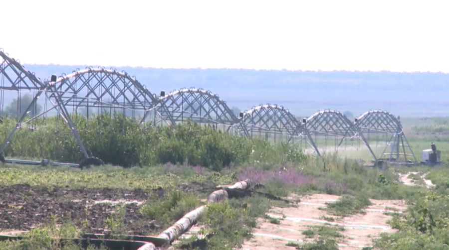 Вегетационный период на контроле Правительства