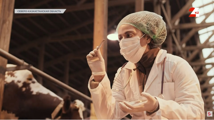 Кто проверяет продукцию фермеров? Серик Биболсынов и Максим Лукьянов