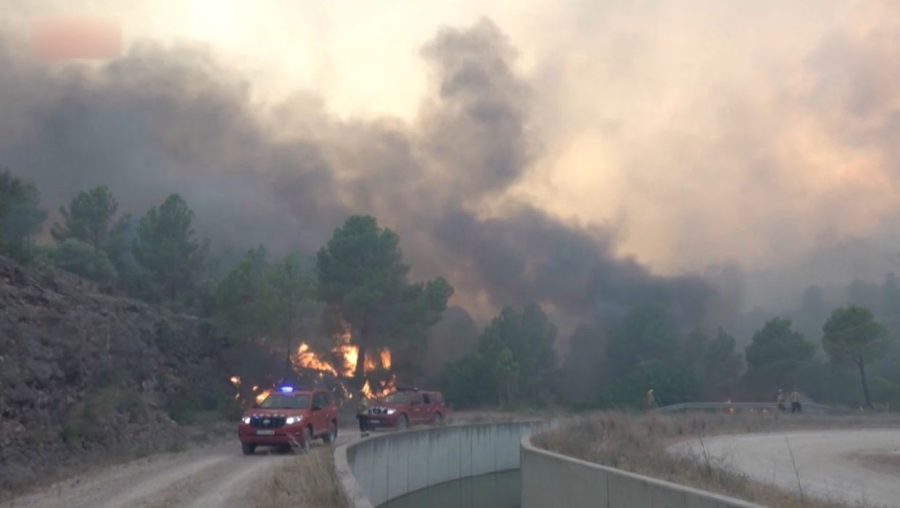 Испанияда орман отқа оранды