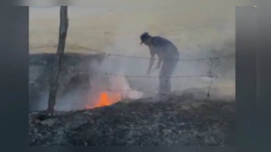 Пожар в яблоневом саду: оперативные действия полицейских спасли урожай