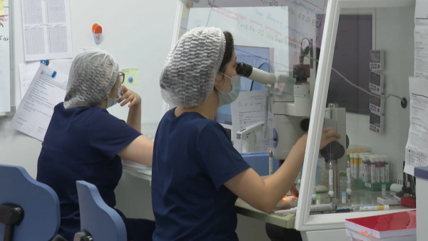 Казахстанки стали чаще замораживать свои яйцеклетки