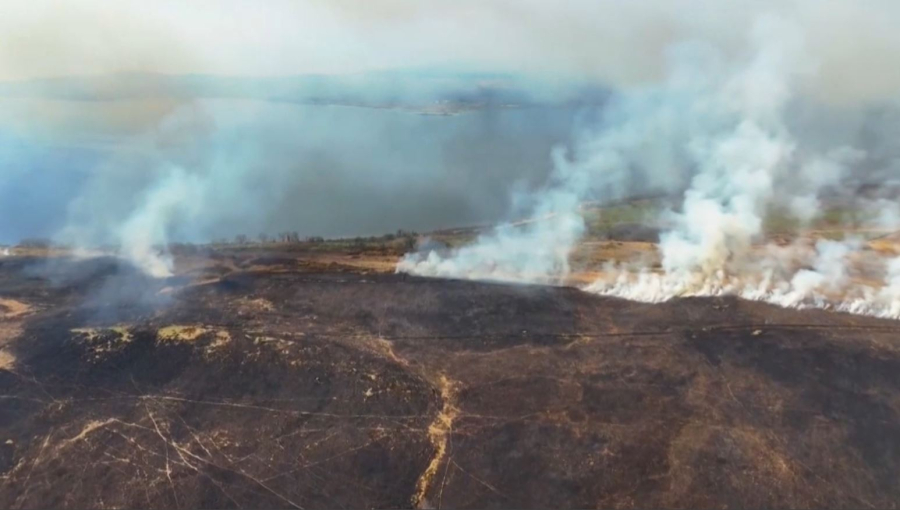 Британияда өрт сирек кездесетін жабайы табиғатты жойып жатыр