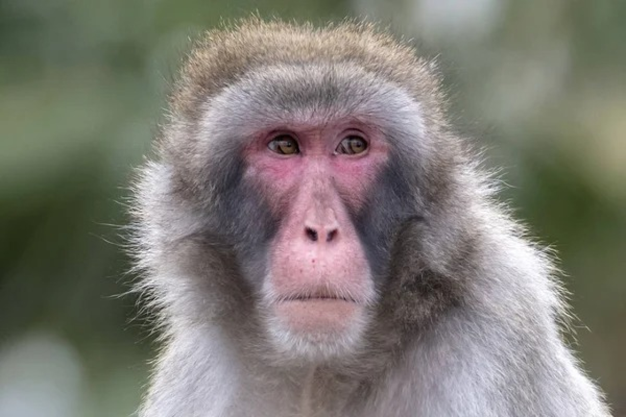 Фото: depositphotos.com