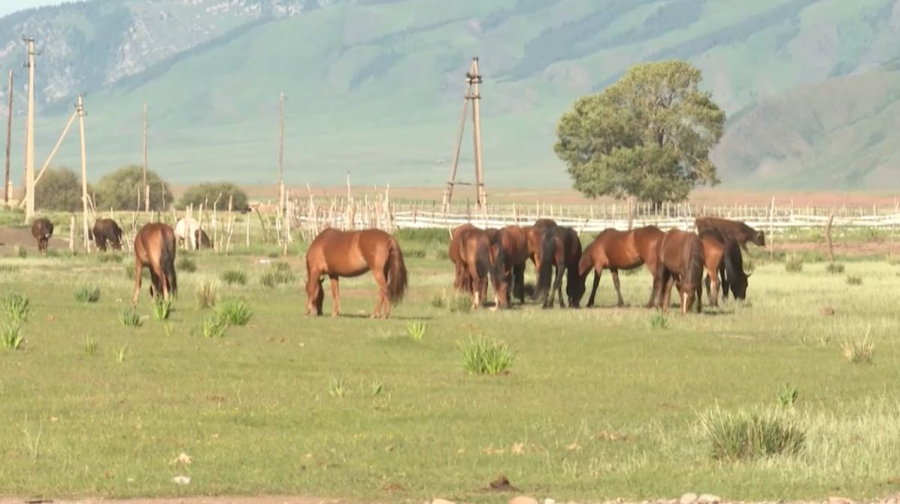 В РК распределили 5,9 млн га возвращённых земель